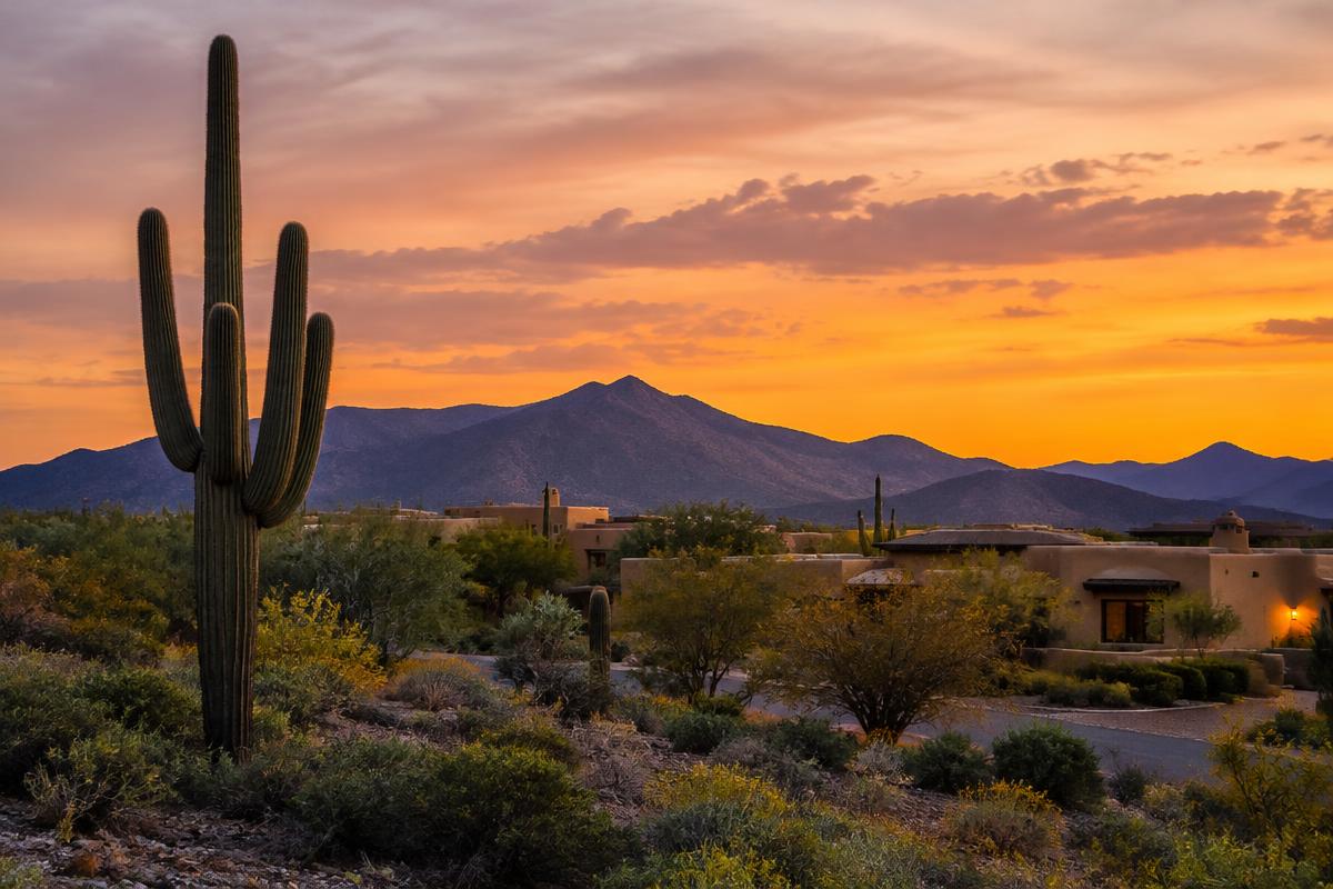 Saguaro cactus and low adobe homes under an Arizona sunset